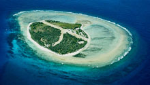 Lady Elliot Island