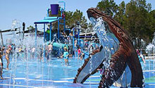 Water Park