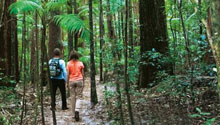 Fraser Island